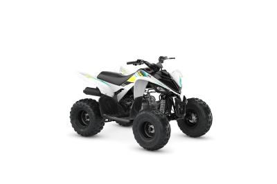 YAMAHA YFM 90 RAPTOR