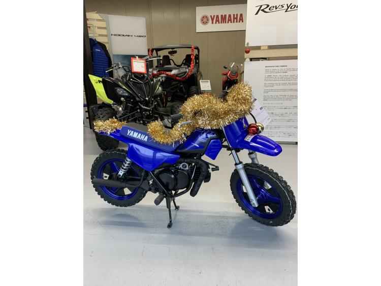 YAMAHA PW50