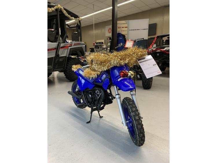 YAMAHA PW50