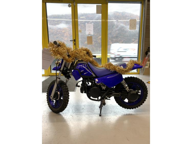 YAMAHA PW50