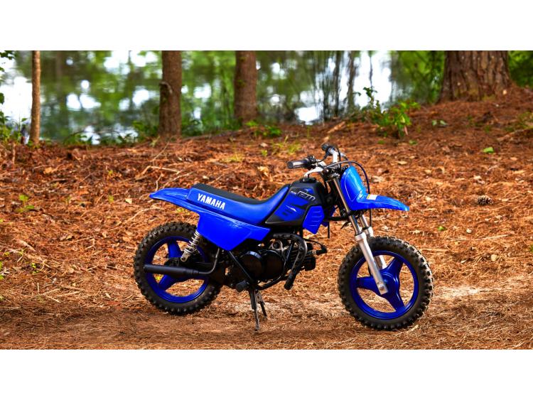 YAMAHA PW50